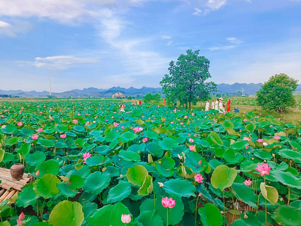 Du lịch cộng đồng tại Mỹ Đức